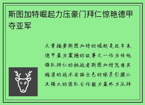 斯图加特崛起力压豪门拜仁惊艳德甲夺亚军